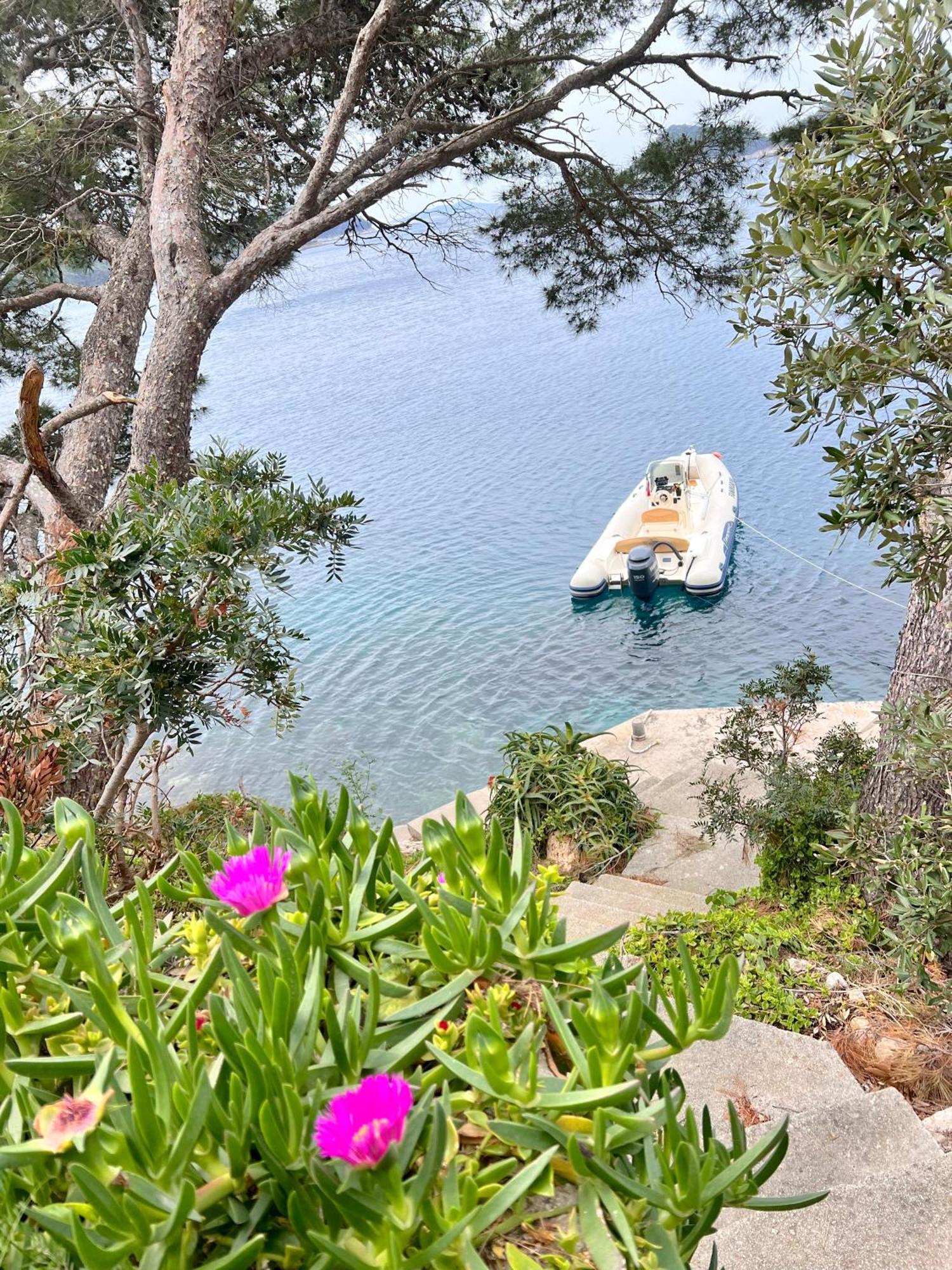 Terrace Studios With Panoramic Seaview Uble المظهر الخارجي الصورة